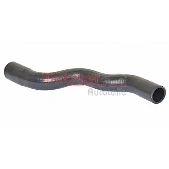 Durite de radiateur METZGER 2420303