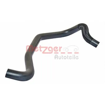Durite de radiateur METZGER 2420392