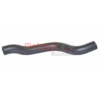Durite de radiateur METZGER 2420422