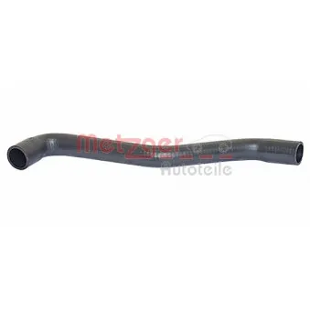 Durite de radiateur METZGER 2420427