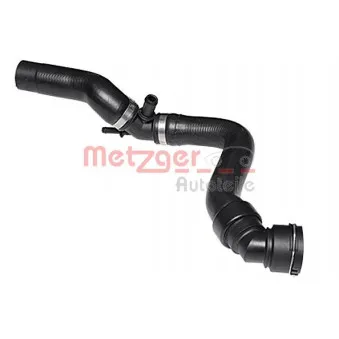 Durite de radiateur METZGER 2420464