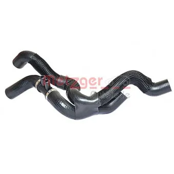 Durite de radiateur METZGER 2420468