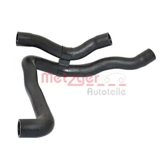 Durite de radiateur METZGER 2420472