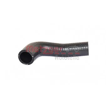 Durite de radiateur METZGER 2420483