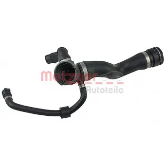 Durite de radiateur METZGER 2420556