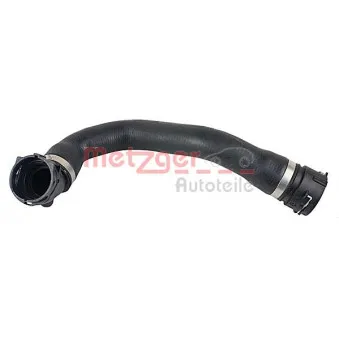Durite de radiateur METZGER 2420611