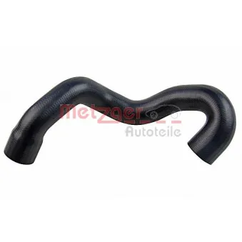 Durite de radiateur METZGER 2420633