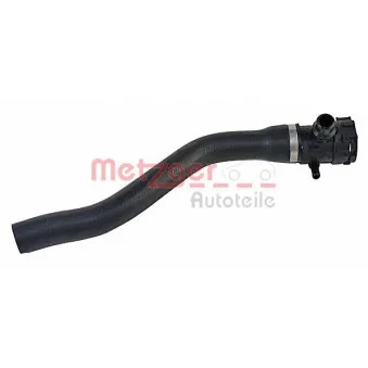 Durite de radiateur METZGER 2420642