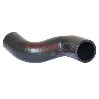 Durite de radiateur METZGER 2420691