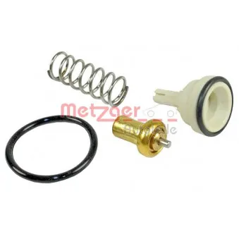 Thermostat d'eau METZGER