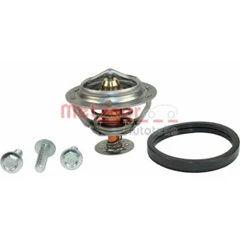 Thermostat d'eau METZGER