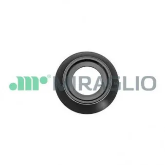 Poignet de porte, équipment intérieur avant MIRAGLIO 110/16