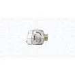 Alternateur MAGNETI MARELLI 944390903670 - Visuel 3