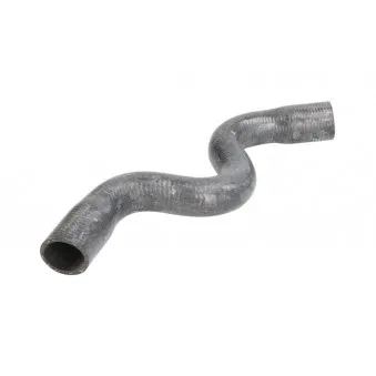 Durite de radiateur THERMOTEC
