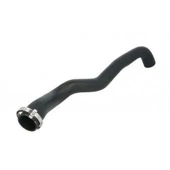 Durite de radiateur THERMOTEC DWR108TT