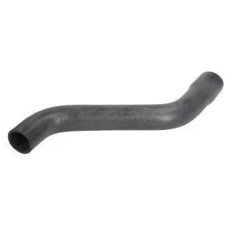 Durite de radiateur THERMOTEC DWX137TT