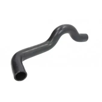 Durite de radiateur THERMOTEC DWP115TT