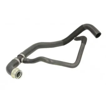 Durite de radiateur THERMOTEC DWP091TT