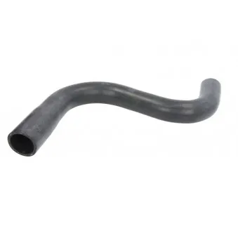 Durite de radiateur THERMOTEC DWM094TT
