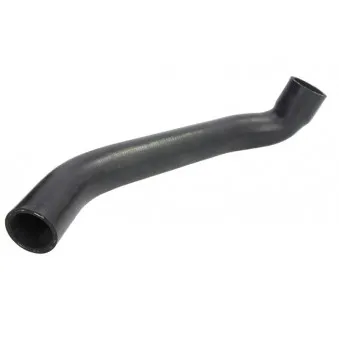 Durite de radiateur THERMOTEC DWP077TT