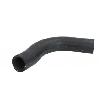 Durite de radiateur THERMOTEC DWP082TT