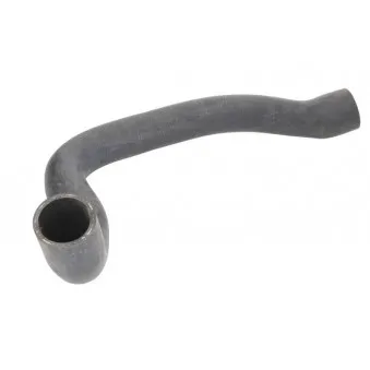 Durite de radiateur THERMOTEC DWB031TT