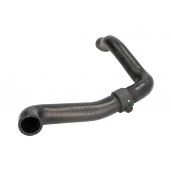 Durite de radiateur THERMOTEC DWR213TT