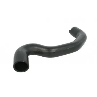 Durite de radiateur THERMOTEC DWP100TT