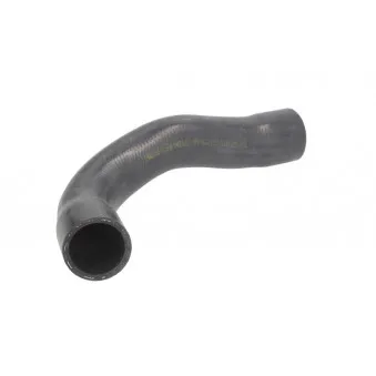 Durite de radiateur THERMOTEC DWB071TT