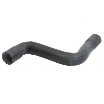Durite de radiateur THERMOTEC DWW082TT