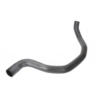 Durite de radiateur THERMOTEC DWV002TT