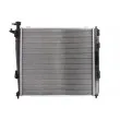 Radiateur, refroidissement du moteur THERMOTEC D70316TT - Visuel 2