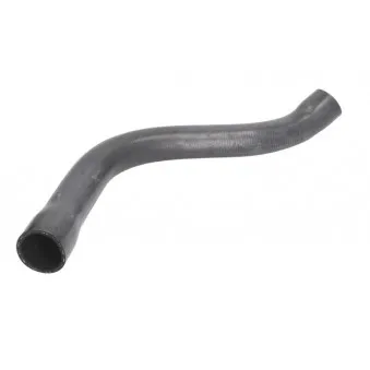 Durite de radiateur THERMOTEC DWB088TT