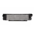 Intercooler, échangeur THERMOTEC DAB010TT - Visuel 1