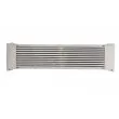 Intercooler, échangeur THERMOTEC DAM015TT - Visuel 2