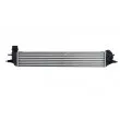 Intercooler, échangeur THERMOTEC DAR015TT - Visuel 1