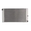 Radiateur, refroidissement du moteur THERMOTEC D7B025TT - Visuel 1