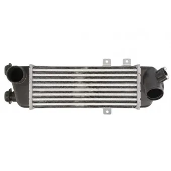 Intercooler, échangeur THERMOTEC DA05001TT