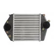 Intercooler, échangeur THERMOTEC DA3002TT - Visuel 1