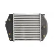 Intercooler, échangeur THERMOTEC DA3002TT - Visuel 2