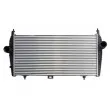Intercooler, échangeur THERMOTEC DAC010TT - Visuel 2