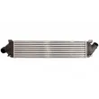 Intercooler, échangeur THERMOTEC DAG013TT - Visuel 1