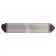 Intercooler, échangeur THERMOTEC DAG013TT - Visuel 2