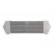 Intercooler, échangeur THERMOTEC DAG015TT - Visuel 1
