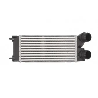 Intercooler, échangeur THERMOTEC DAP002TT