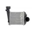 Intercooler, échangeur THERMOTEC DAW013TT - Visuel 1