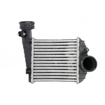 Intercooler, échangeur THERMOTEC DAW013TT
