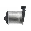 Intercooler, échangeur THERMOTEC DAW013TT - Visuel 2