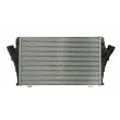 Intercooler, échangeur THERMOTEC DAX011TT - Visuel 1