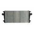 Intercooler, échangeur THERMOTEC DAX013TT - Visuel 1